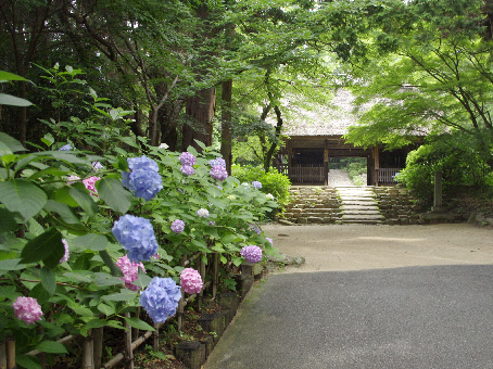 東大寺別院阿弥陀寺