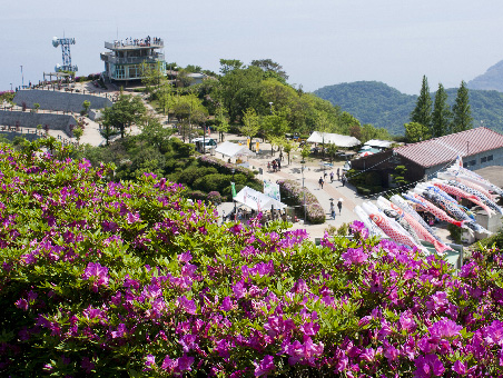 大平山（つつじ）