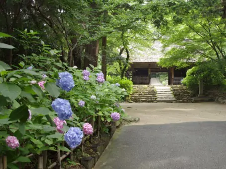 東大寺別院阿弥陀寺